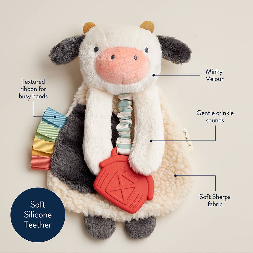Itzy Friends Lovey™ Plush