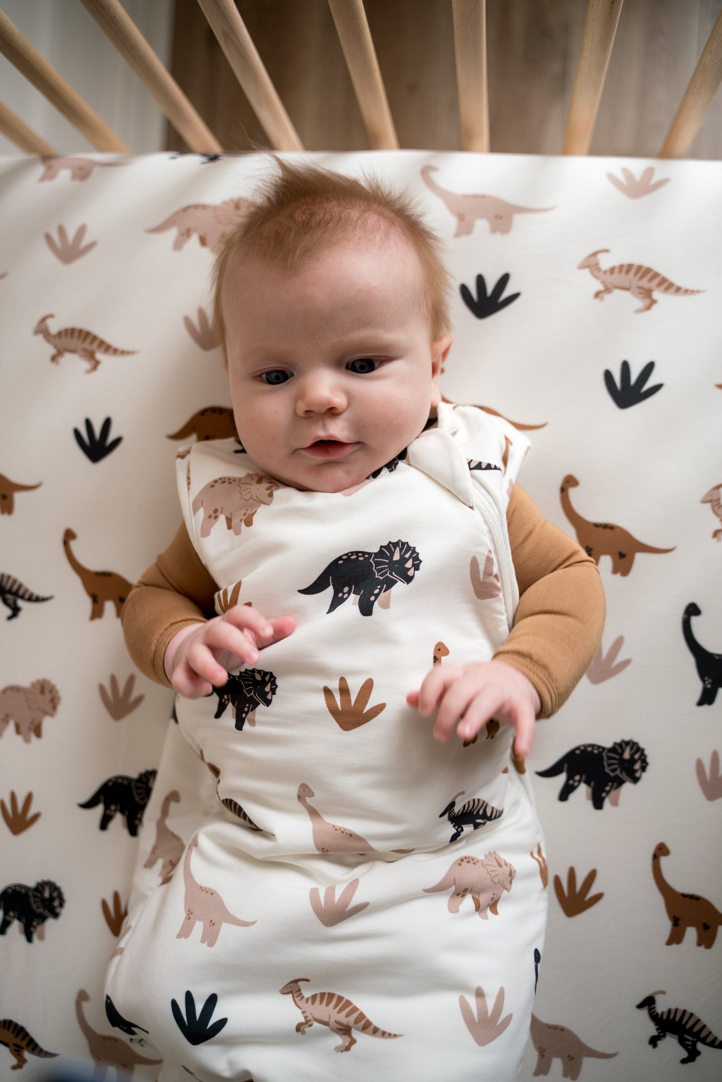 Bamboo Sleep Bags: 1.0 TOG | Desert Dino