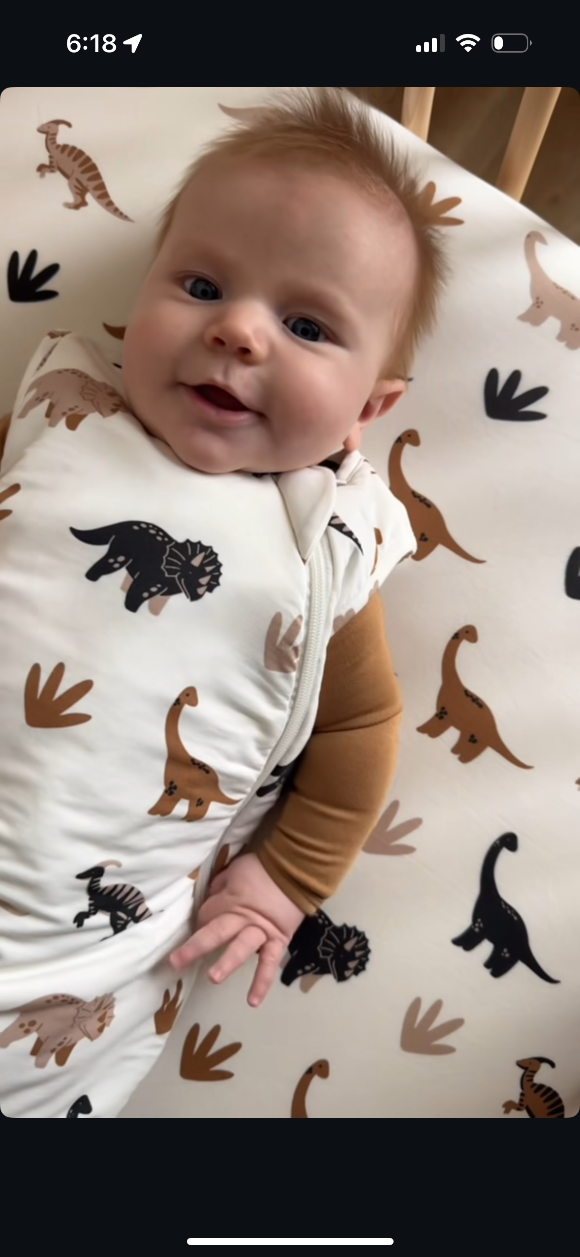 Bamboo Sleep Bags: 1.0 TOG | Desert Dino