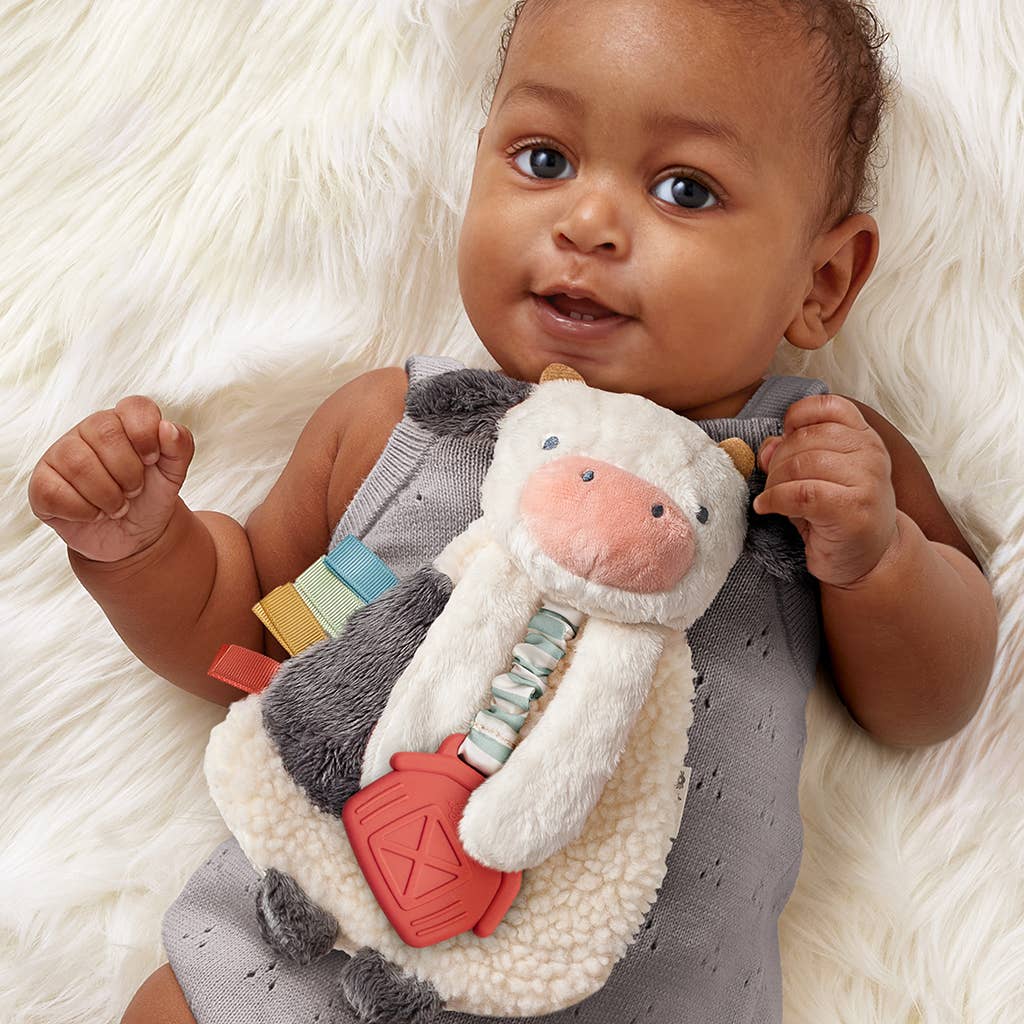 Itzy Friends Lovey™ Plush