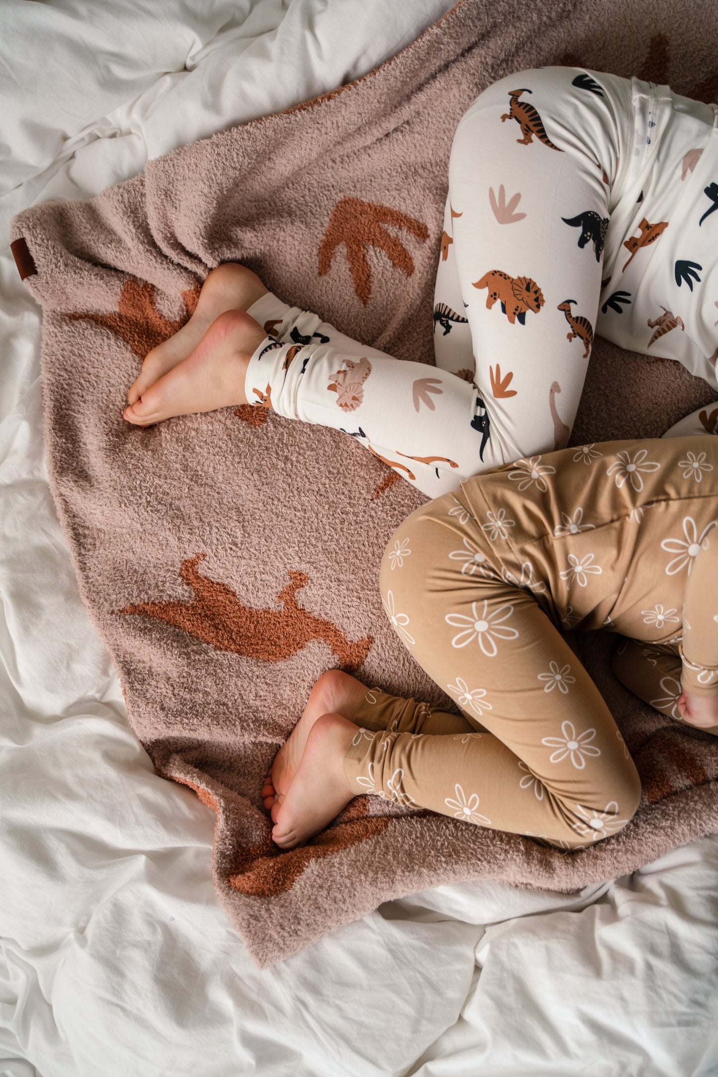 2 Piece Bamboo Sets | Desert Dino