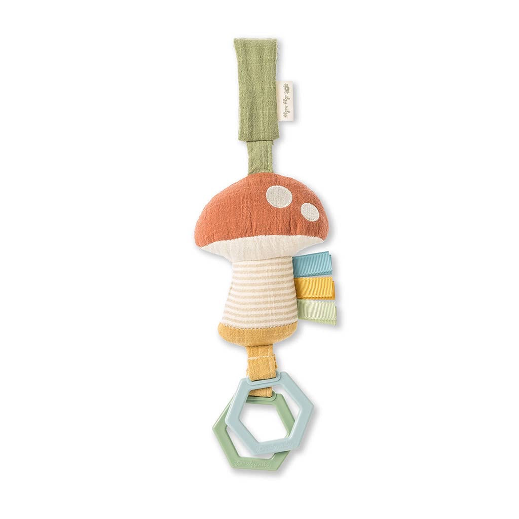 Itzy Friends Ritzy Jingle™ Attachable Travel Toy