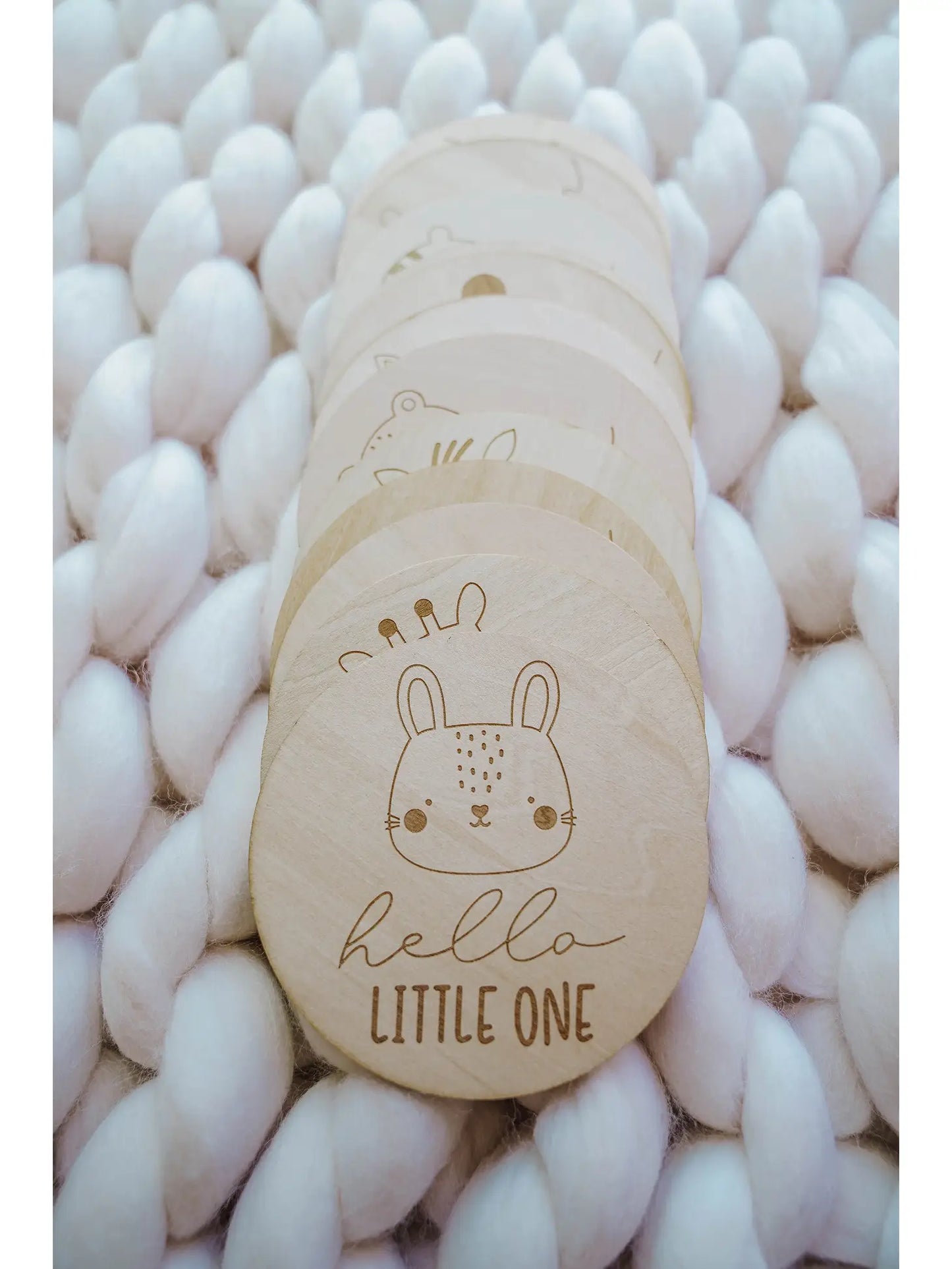 Hello Little One Animal Monthly Milestone Disc Set