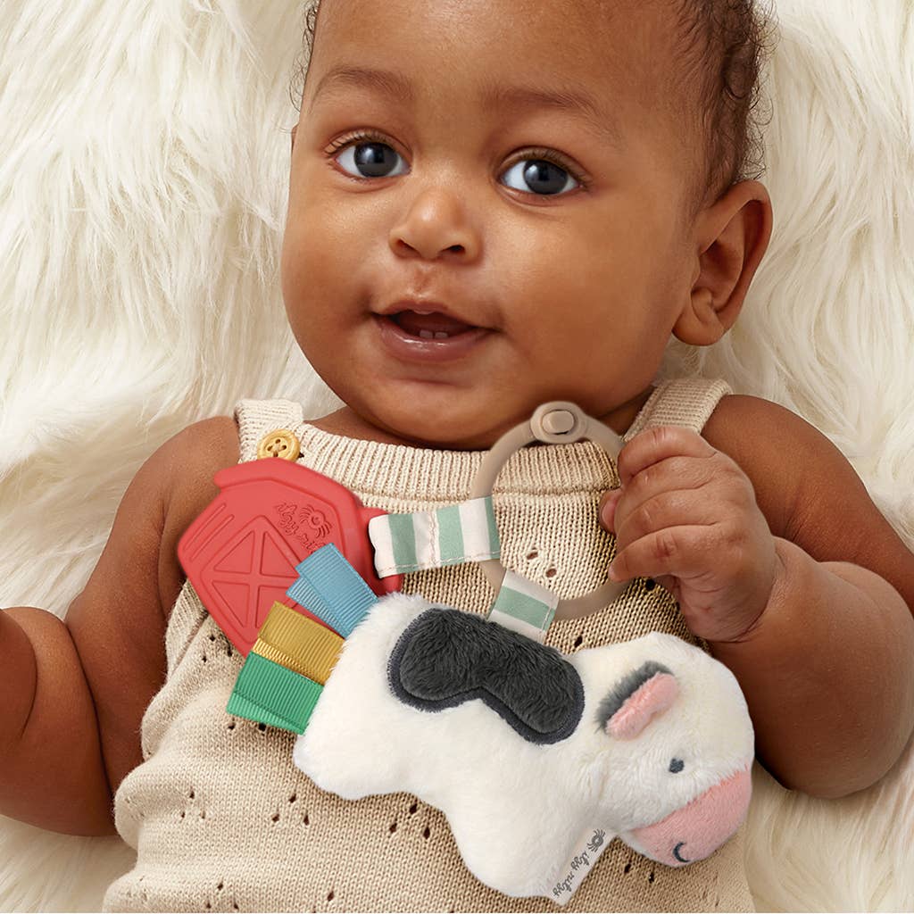 Itzy Pal™ Plush + Teether: Pickle