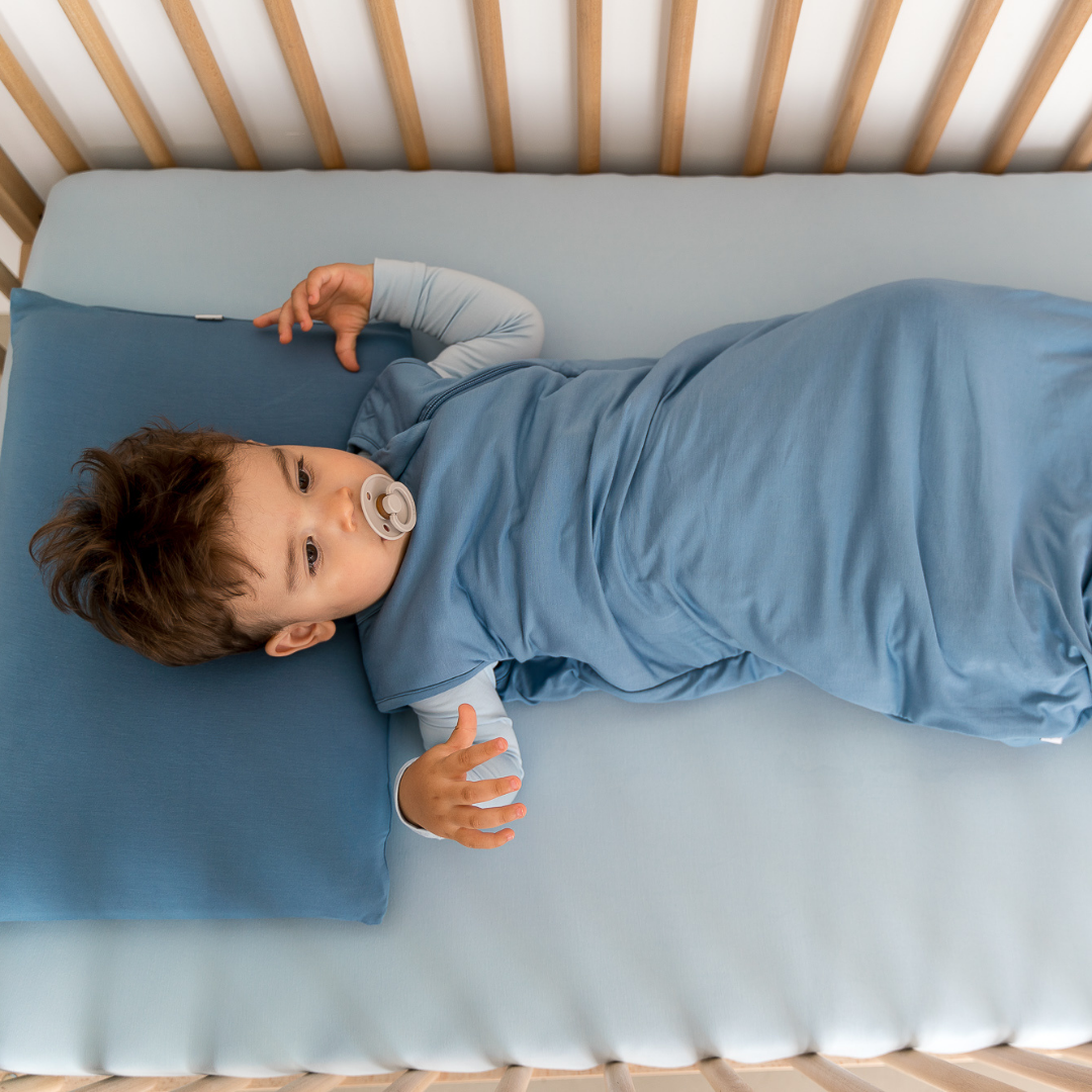 Sleep Bag | 1.0 TOG: Alaskan Blue / 6-18M