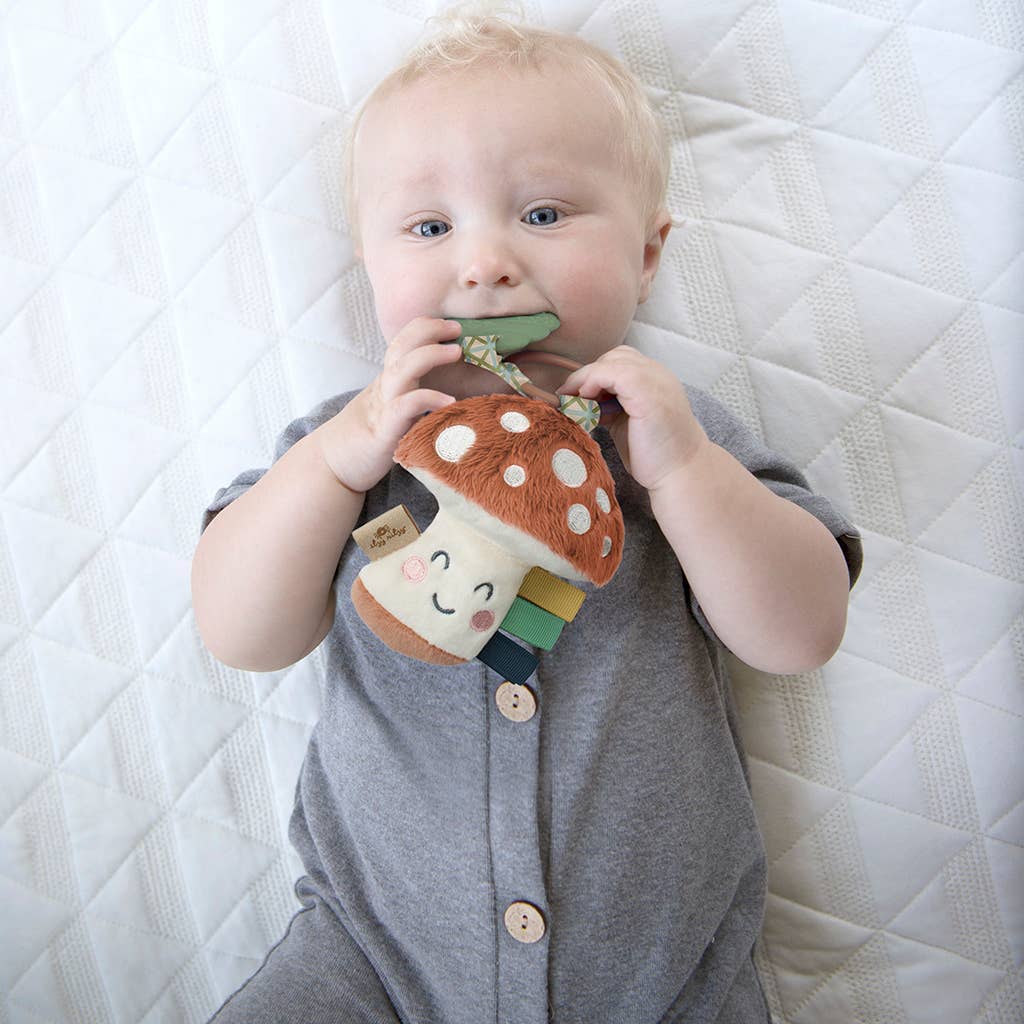 Itzy Pal™ Plush + Teether: Pickle