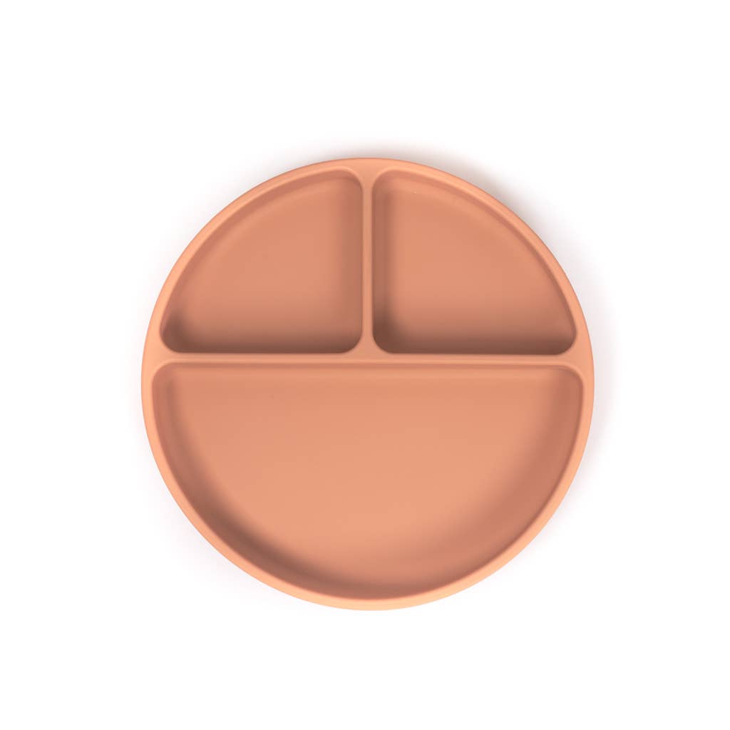 Terracotta Suction Divider Plate