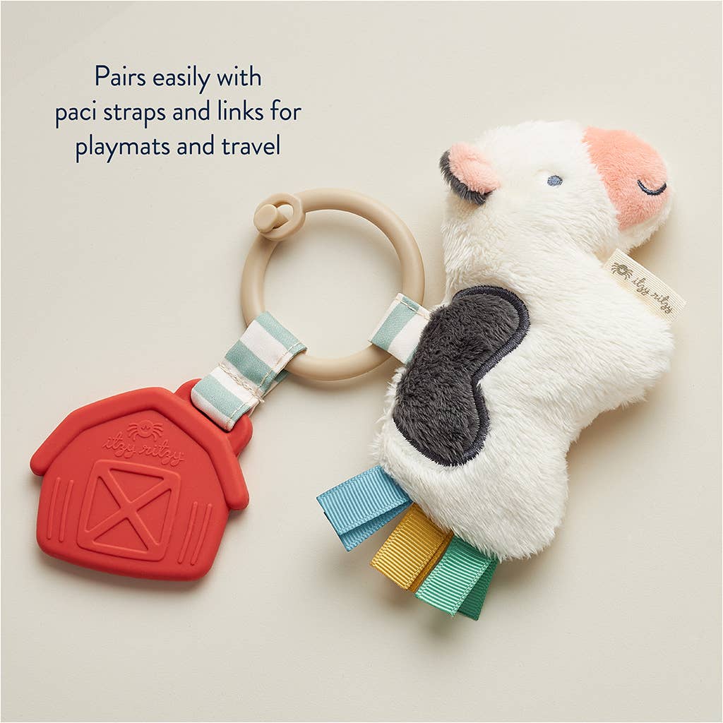 Itzy Pal™ Plush + Teether: Pickle