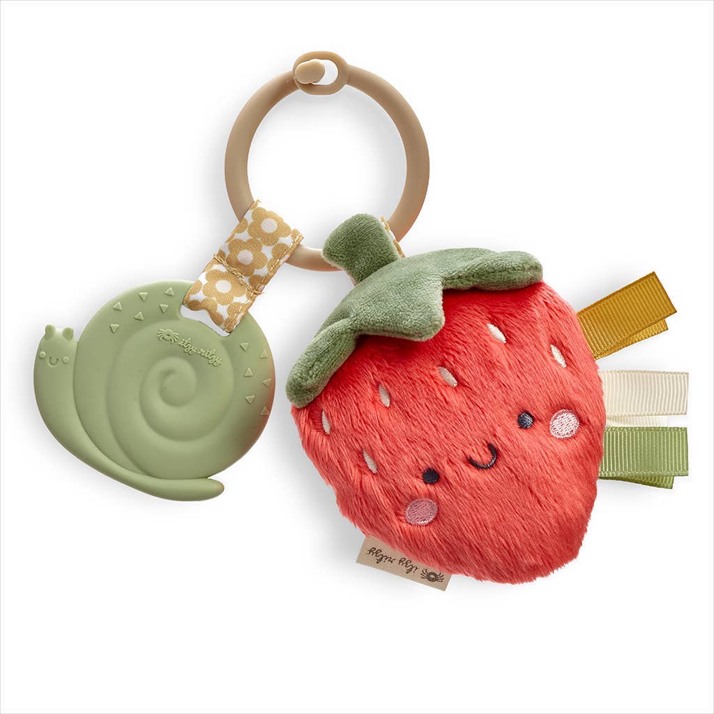 Itzy Pal™ Plush + Teether: Pickle