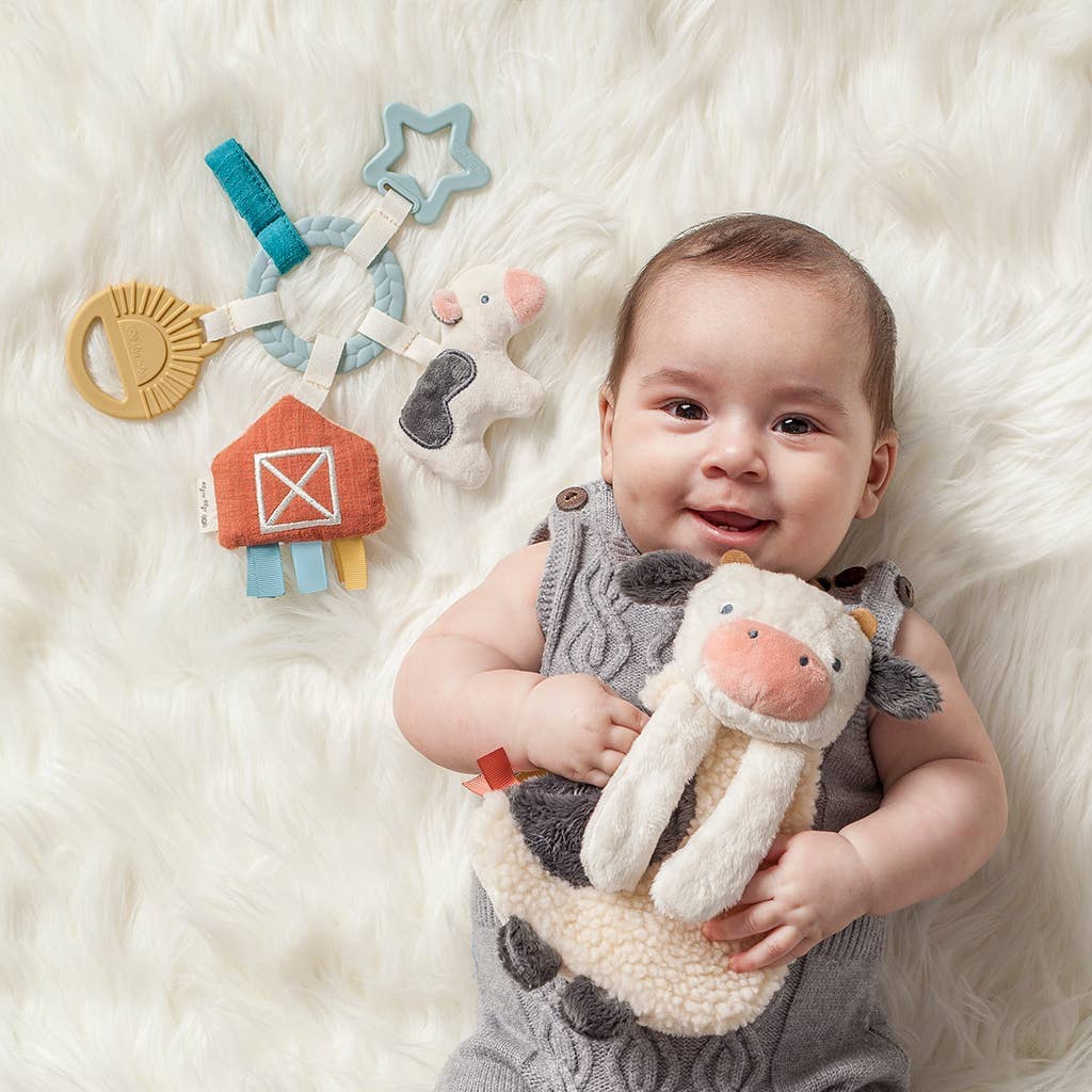Bitzy Busy Ring™ Teething Activity Toy: Bunny